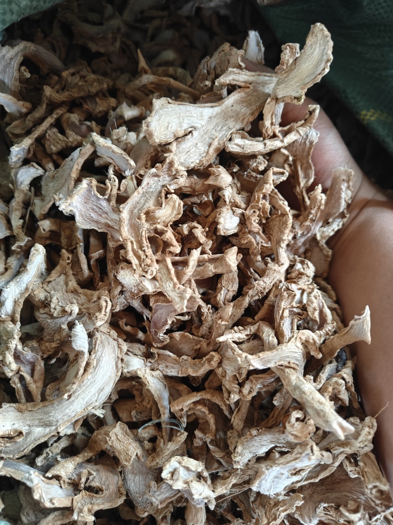 云南丽江精品老姜姜片，片大干净！