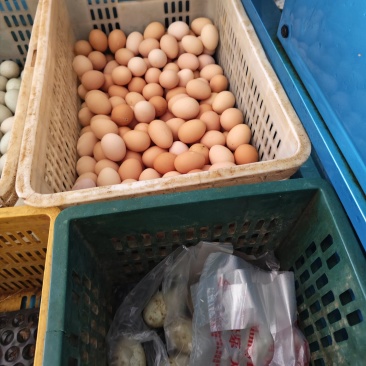 富阳土鸡蛋