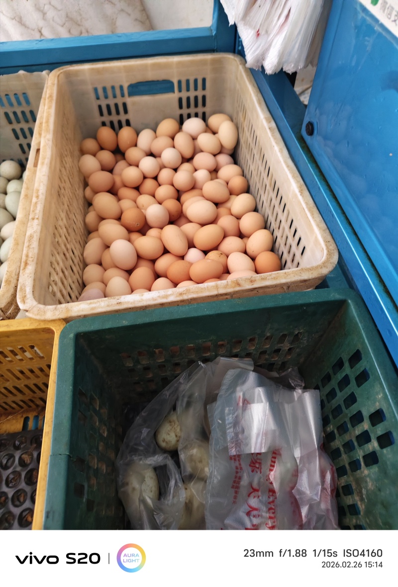富阳土鸡蛋