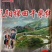 元阳梯田干米线