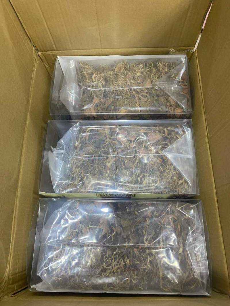 金线莲一盒一斤福建大圆叶台湾红霞无碎