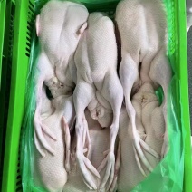 冰鲜全鸭白条鸭可以订做规格齐全