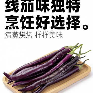 线茄批量供应，新鲜直达，品质稳定