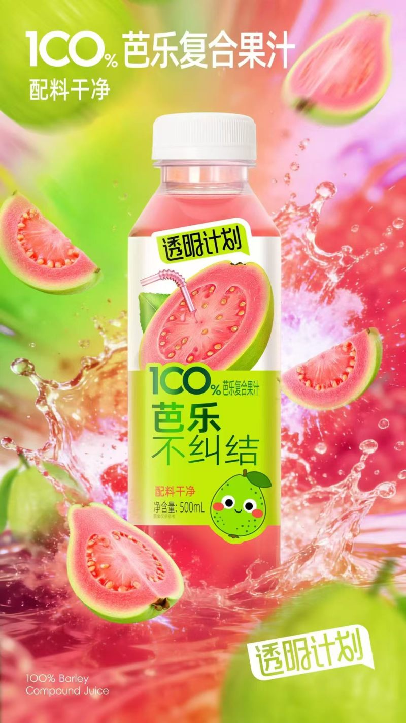 果蔬汁饮料，果汁，多种口味500ML一箱✘15瓶厂家发货