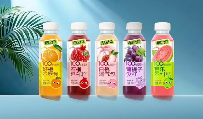 果蔬汁饮料，果汁，多种口味500ML一箱✘15瓶厂家发货