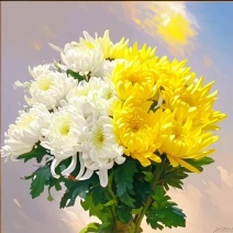 祭祀黄白菊