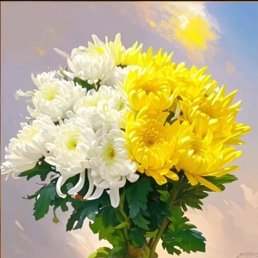 祭祀黄白菊
