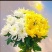 祭祀黄白菊