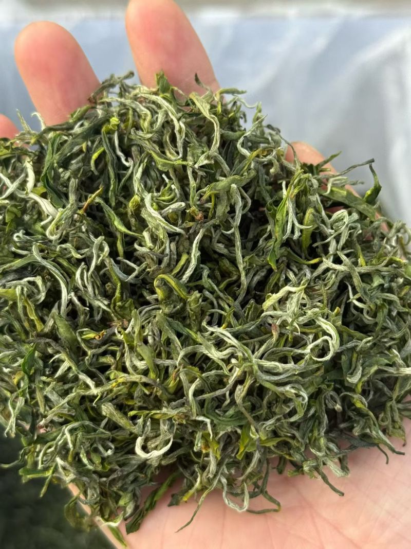 普洱茶古树茶