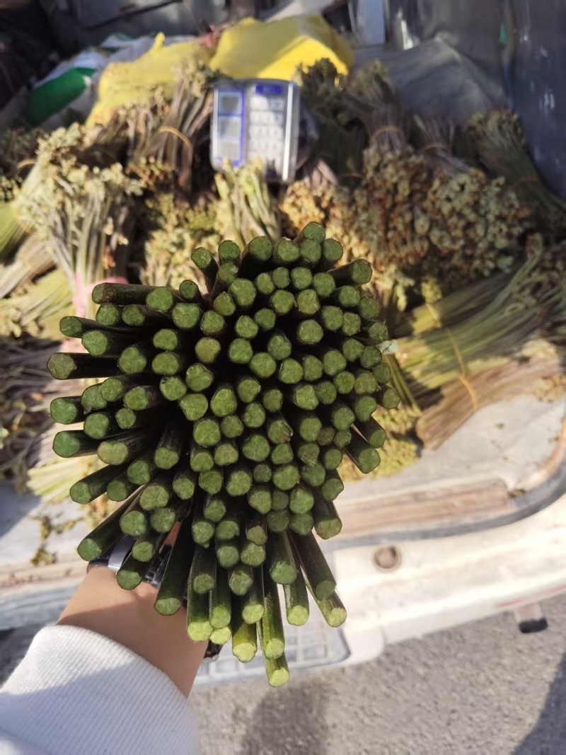 贵州高山蕨菜产地直发需要的老板来，支持任何包装