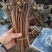 贵州高山蕨菜产地直发需要的老板来，支持任何包装