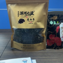 东北木耳