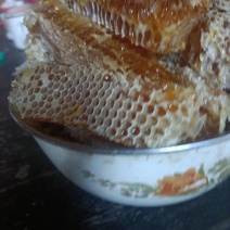 土蜂蜜