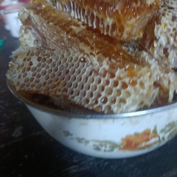 土蜂蜜