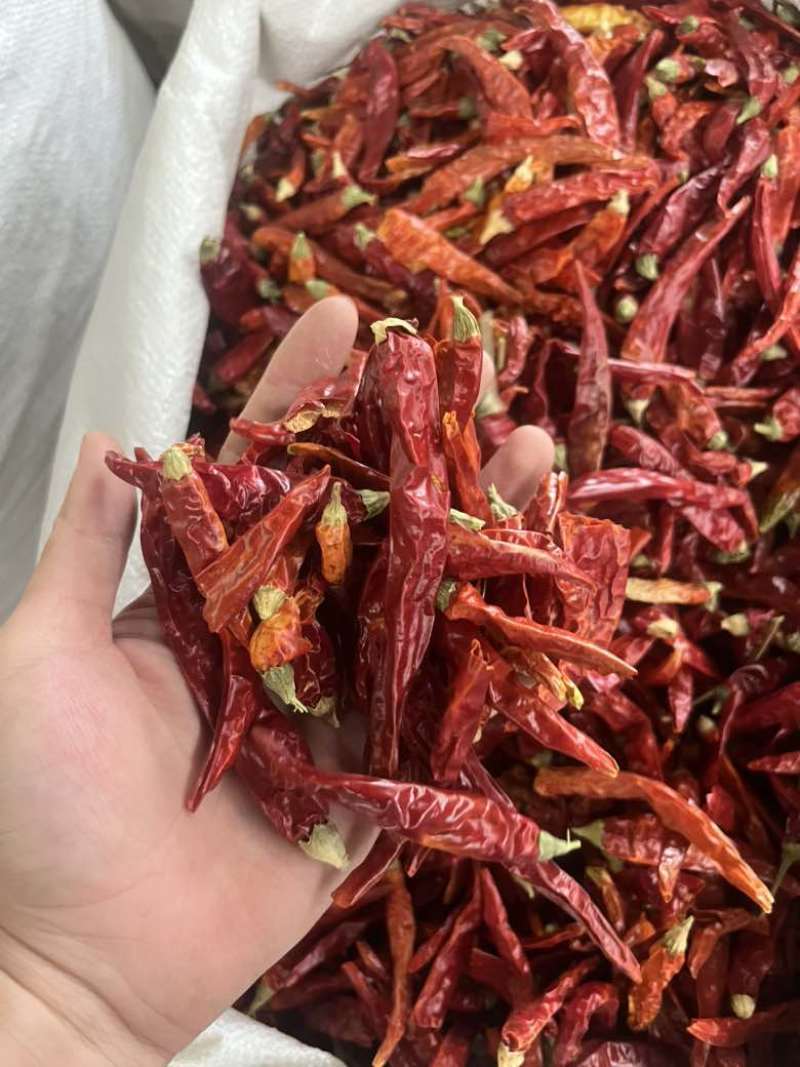 味香浓干辣椒
