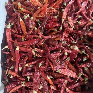 味香浓干辣椒