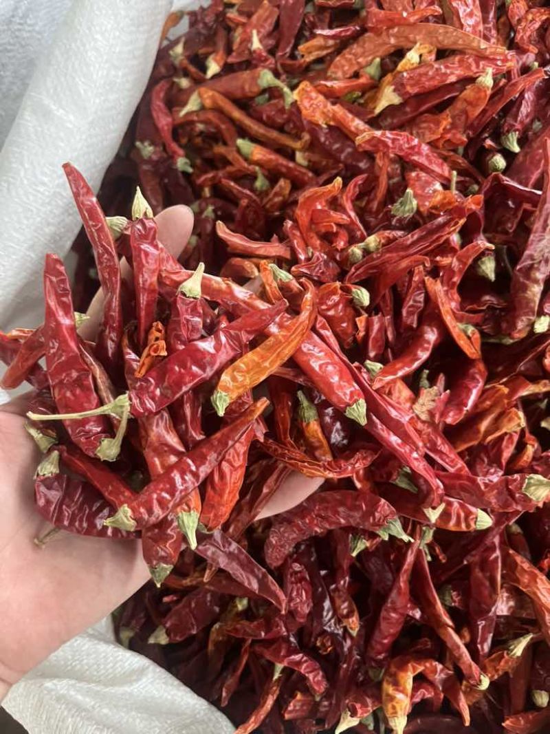 味香浓干辣椒
