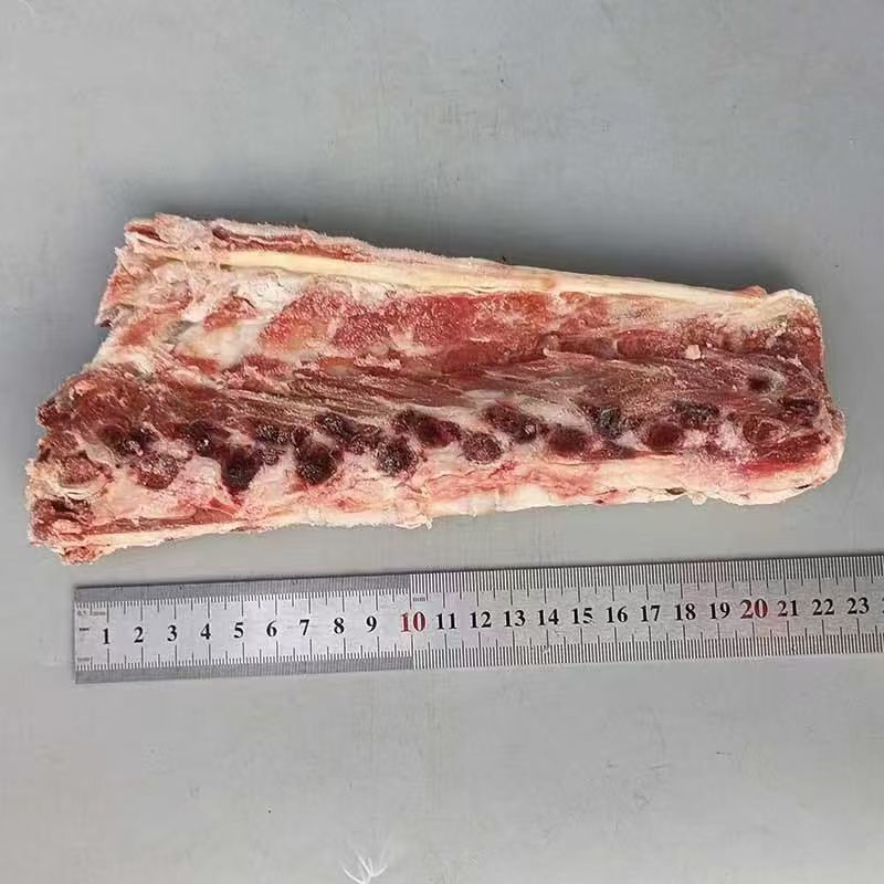 羊脊骨
