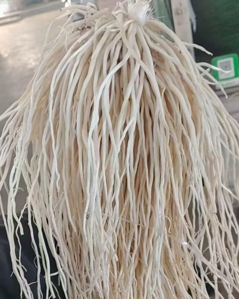 韭菜根