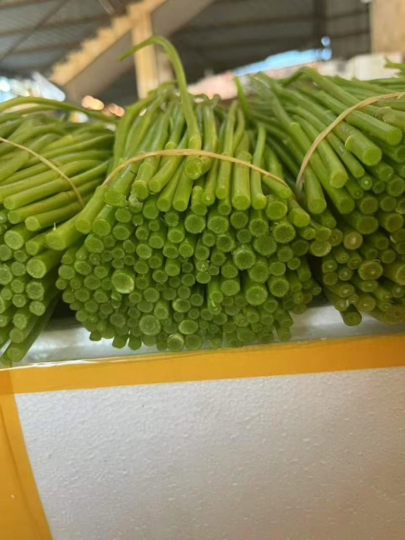 藜蒿杆