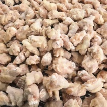 残根。处理，工地。食堂可用
