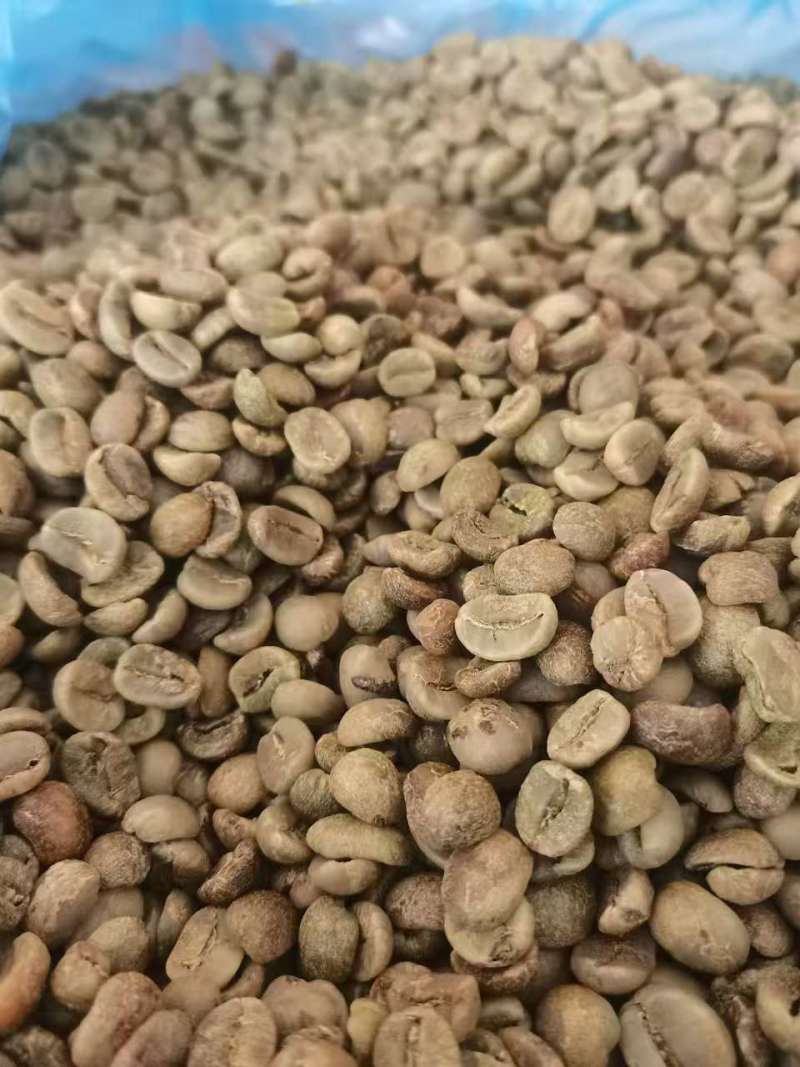 越南咖啡豆罗布斯塔和阿拉比卡16目大量供应