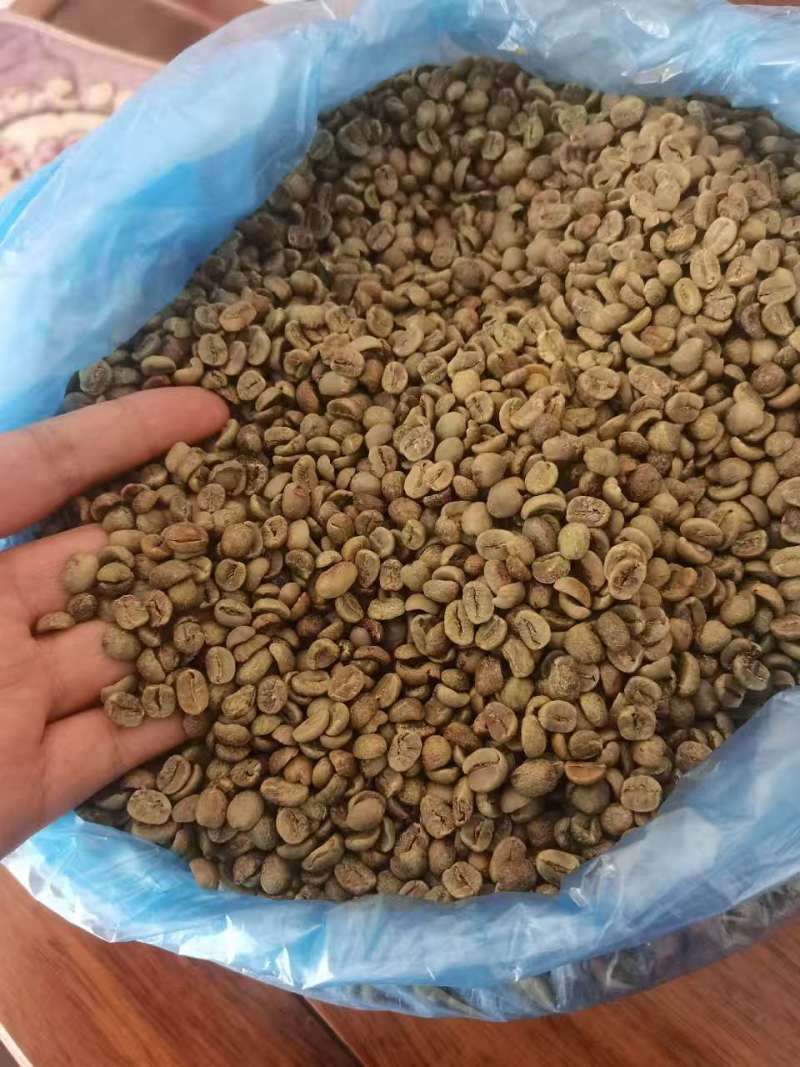 越南咖啡豆罗布斯塔和阿拉比卡16目大量供应