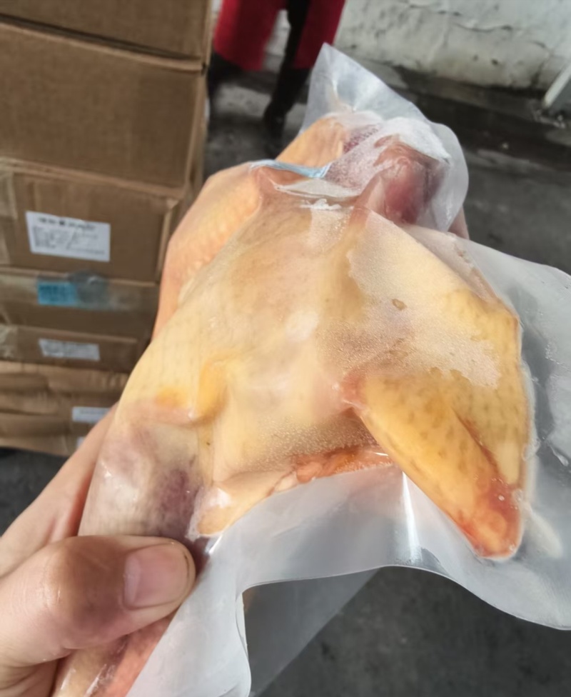 电商**:黄油老母鸡可定制，包装，一件代发。一条龙服
