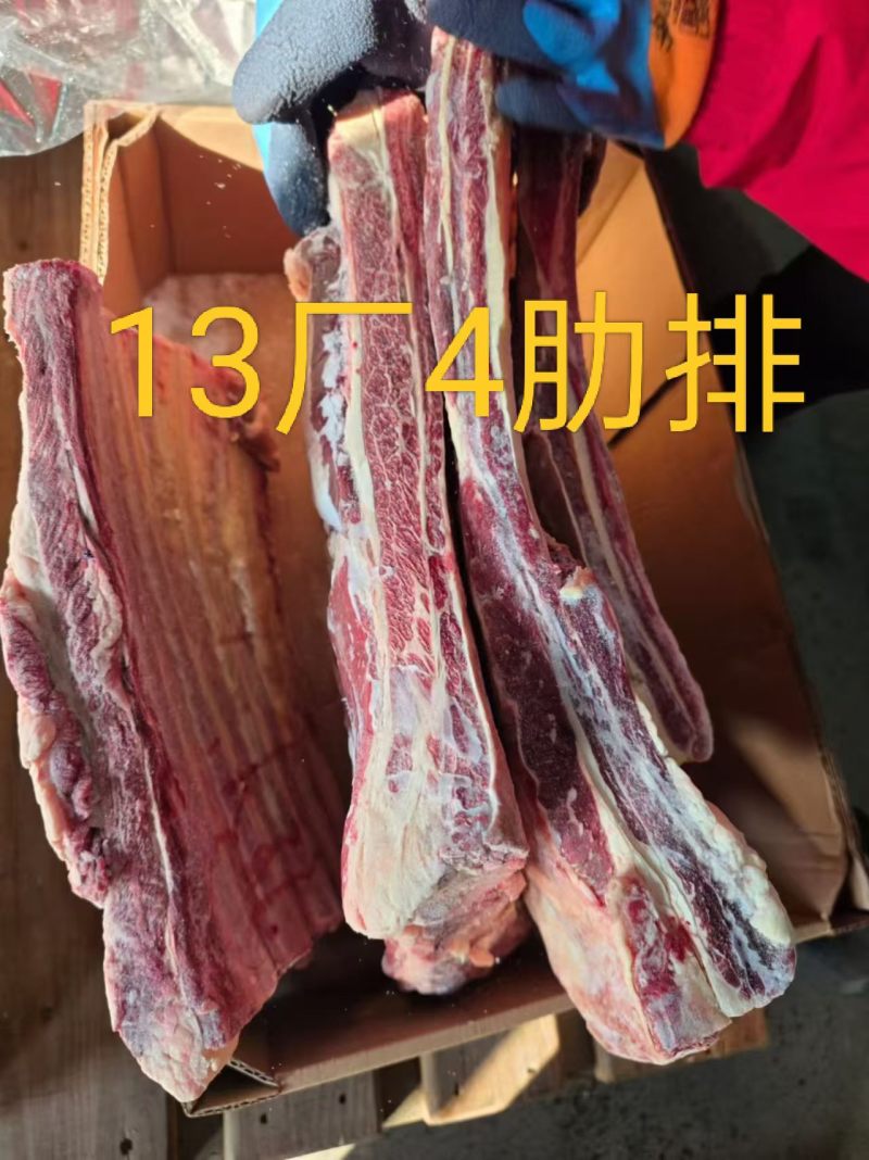 13厂4肋排***********