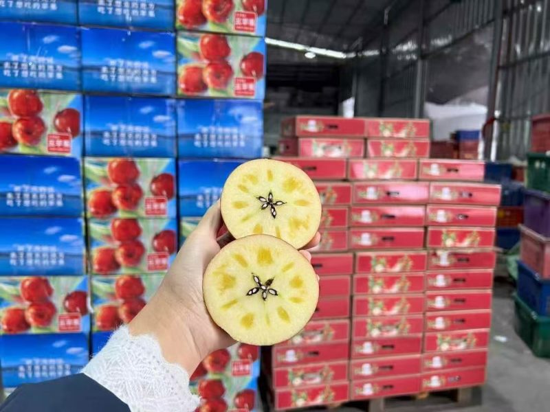 高原老树冰糖心丑苹果