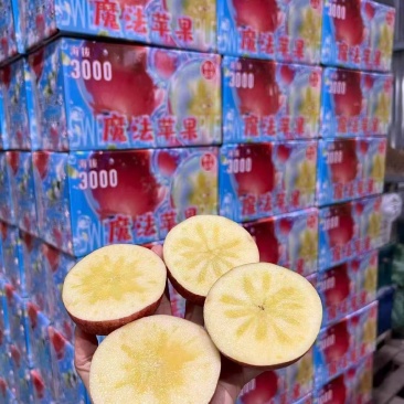 高原老树冰糖心丑苹果