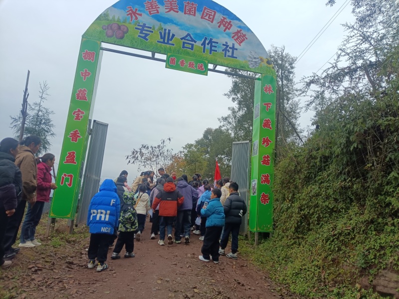 云南省昭通市永善县雪柏村美菌园段木香姑