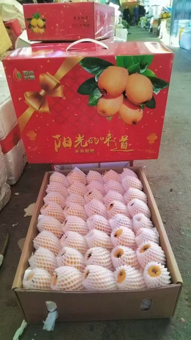 枇杷