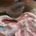 精品带皮五花肉