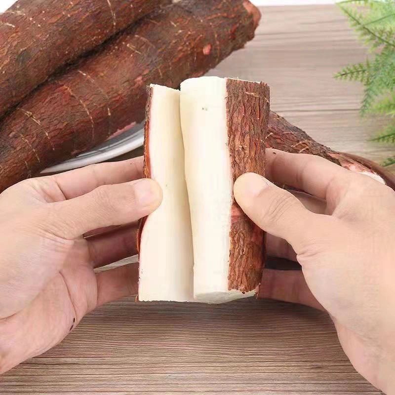 白肉面包木薯新鲜现挖白心木薯