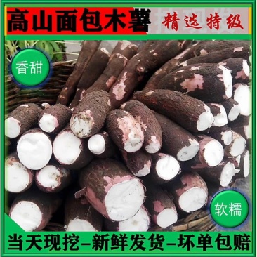 白肉面包木薯新鲜现挖白心木薯