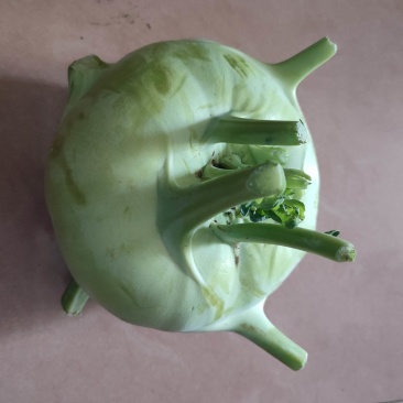 苤蓝