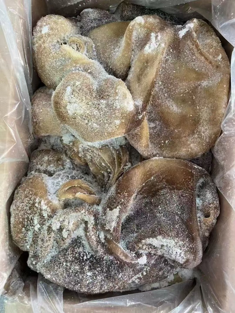 黑羊肚