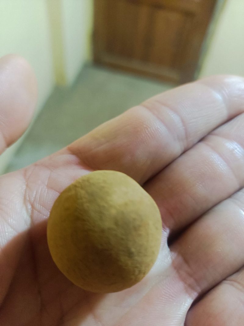 莆田桂圆干