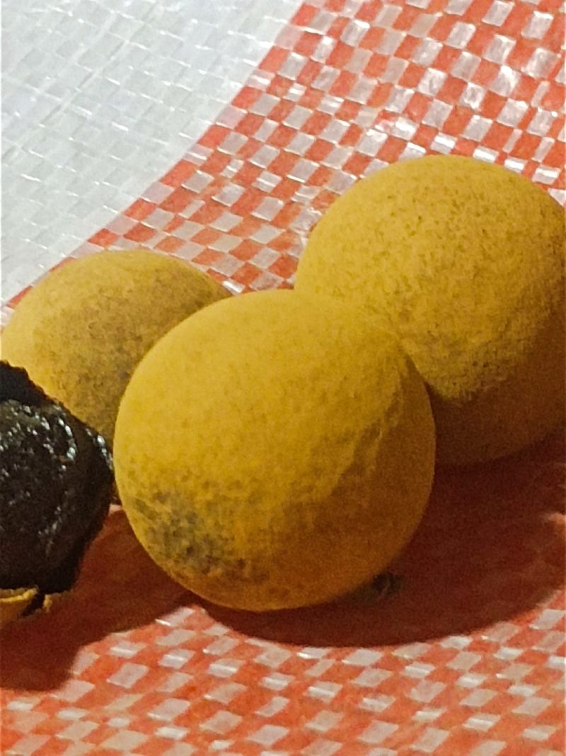 莆田桂圆干