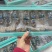 即食海参礼盒