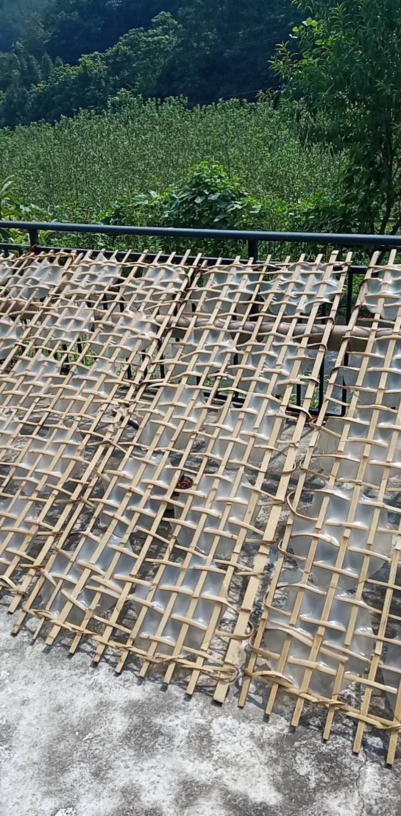 湖南粉皮