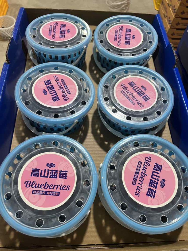 花香蓝莓🫐