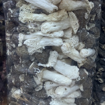 黑头竹笙无碎
