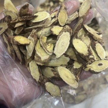 高原深山黄芪