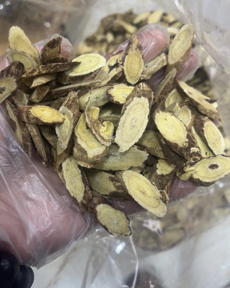高原深山黄芪