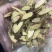 高原深山黄芪
