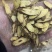 高原深山黄芪