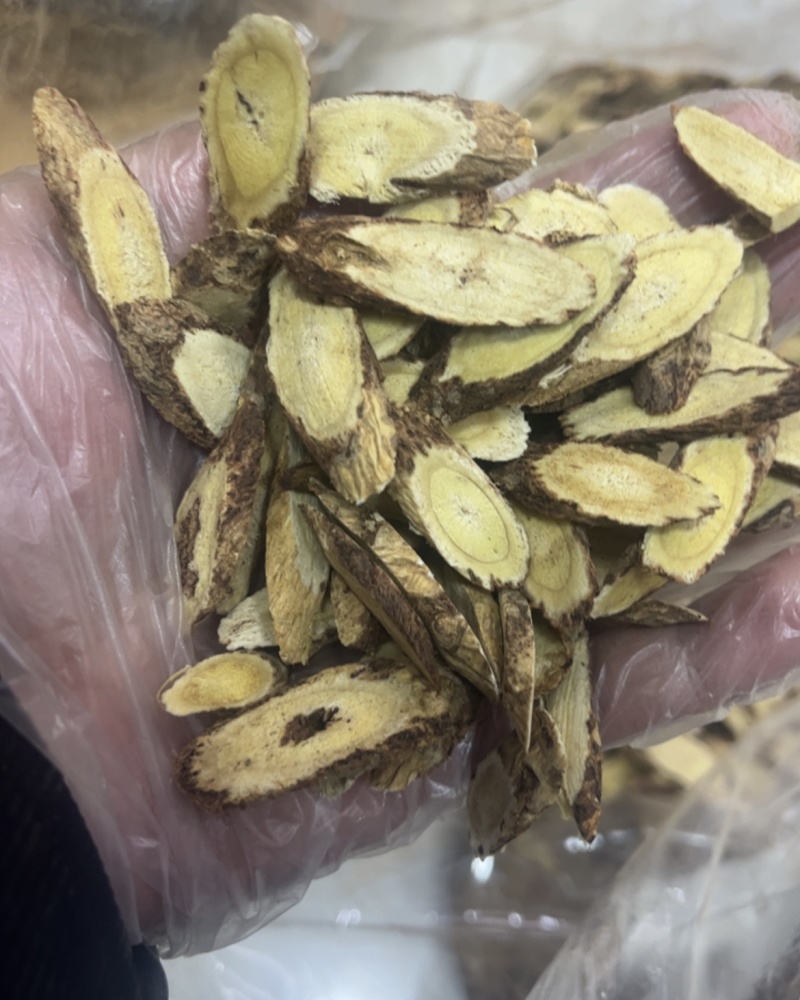 高原深山黄芪