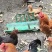 正宗农村土鸡，